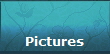 Pictures